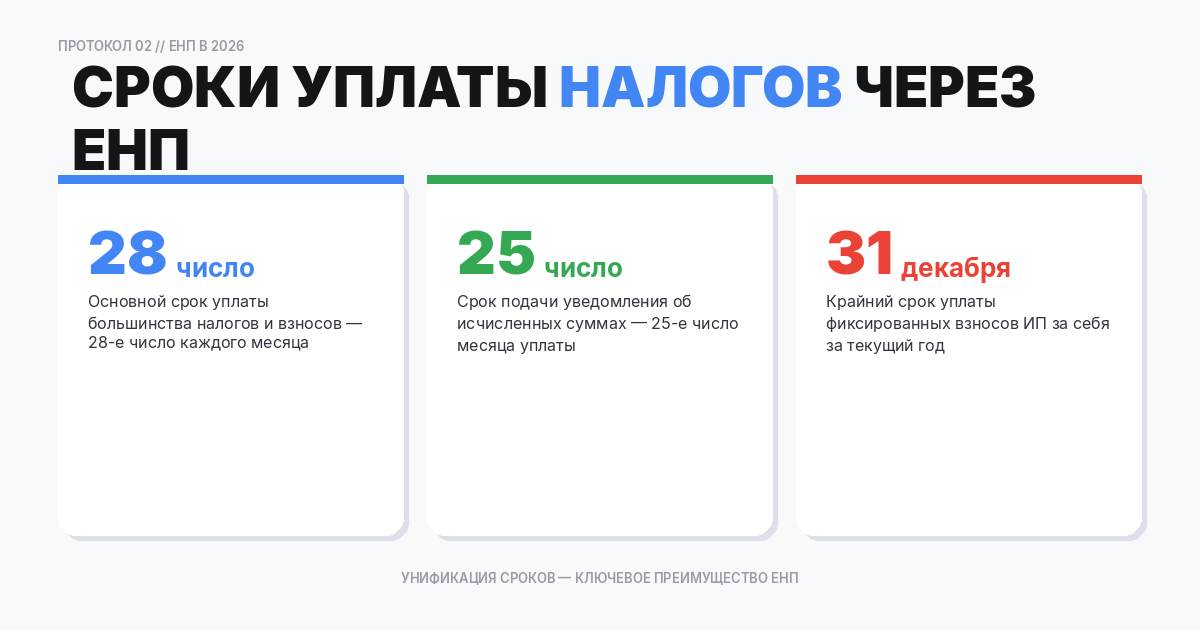 Сроки уплаты налогов через ЕНП