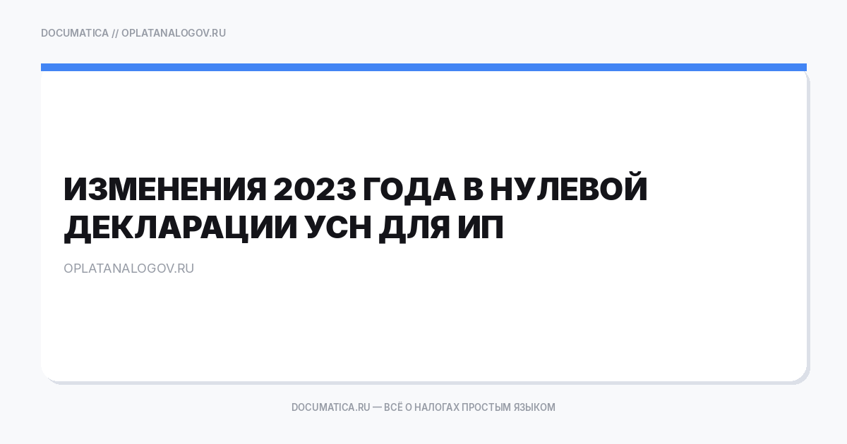 Изменения 2023 года в нулевой декларации УСН для ИП