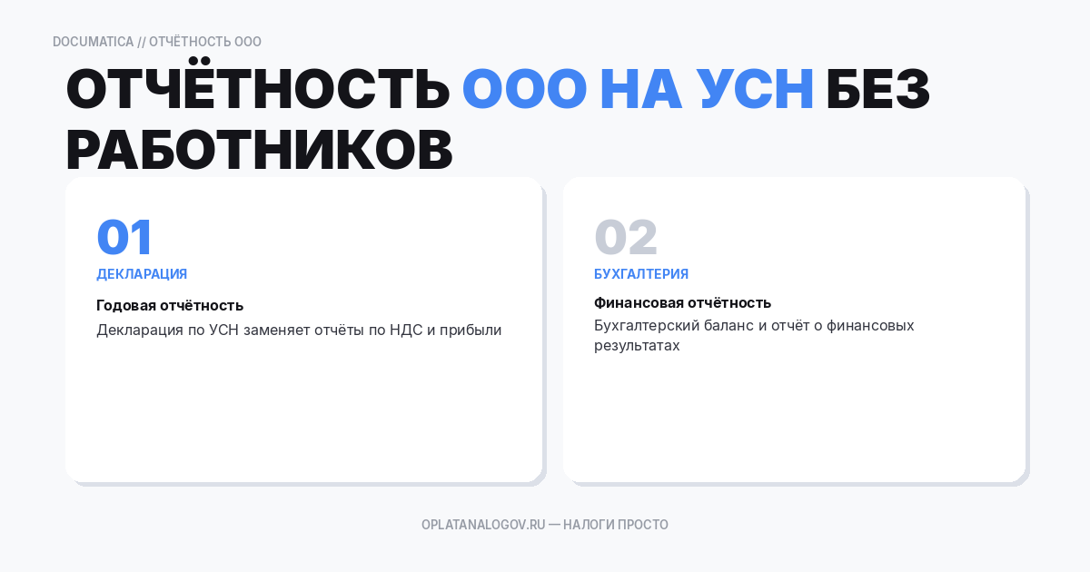 Отчетность ООО на УСН без работников