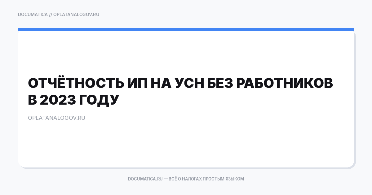 Отчётность ИП на УСН без работников в 2023 году