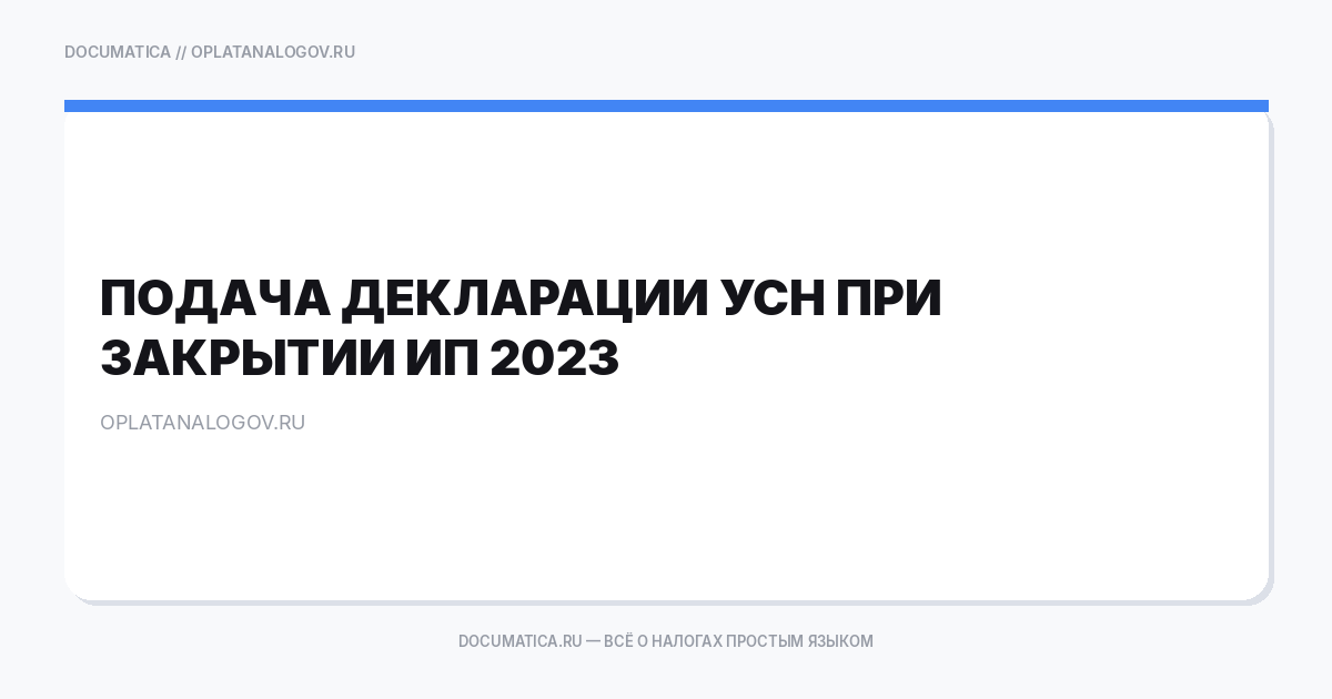 Подача декларации УСН при закрытии ИП 2023