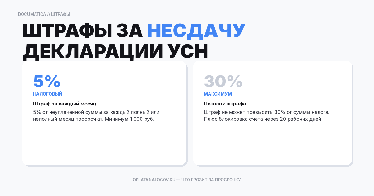 Штрафы за несвоевременную сдачу декларации по УСН: налоговая и административная ответственность, блокировка расчетного счета